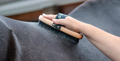 Complete Equine Grooming Kit | By GeeGee COLLECTIVE